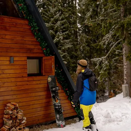 Viktorija Chalet Kopaonik Exterior photo